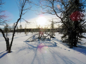 Skireise nach Kiilopää in finnischem Lappland in 2019