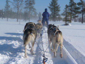 Winterurlaub im finnischen Lappland im Februar 2017