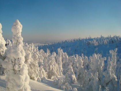 Winterreise nach Saariselkä vom 26.02.- 06.03.2022