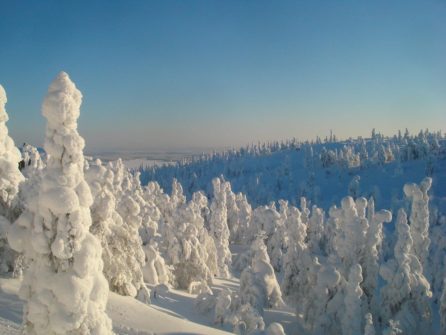 Winterreise Lappland 2021